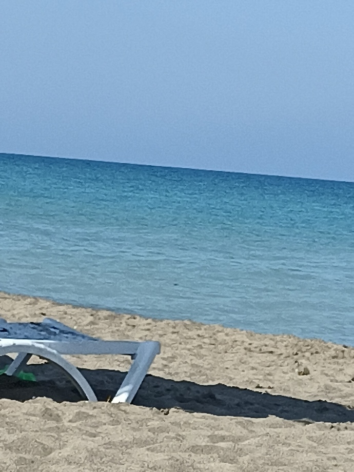 Soruyu gördüğünüz an tam olarak ne ile meşgulsünüz?
