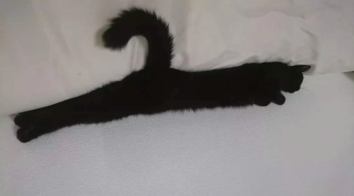 Yeni askılık aldım nasıl, tüylü tüylü :D?