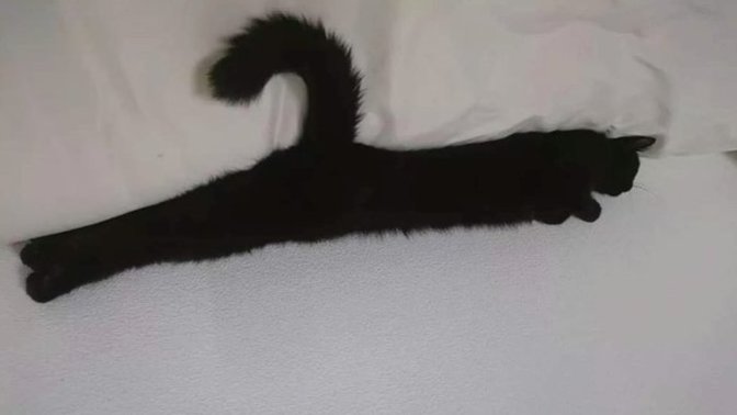 Yeni askılık aldım nasıl, tüylü tüylü :D?