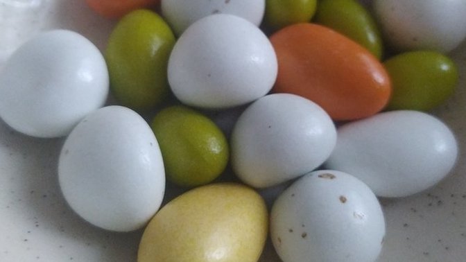 En sevdiğiniz çikolata veya şekerleme nedir?