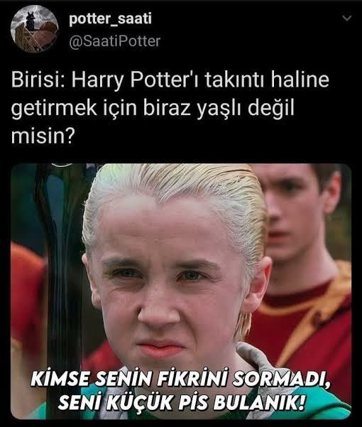 Harry potter ergen filmi mi?