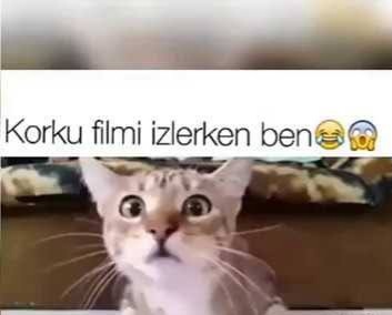 😳