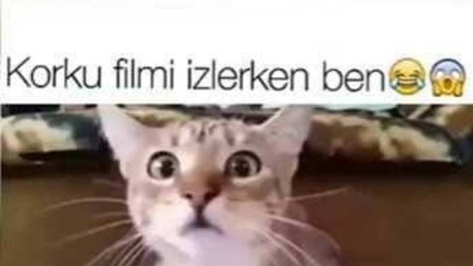 Korku filmi izlerken korkar mısınız?