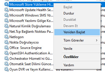 microsoft store açılmıyor