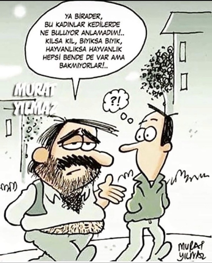 Kediler dünyanın en tatlı hayvanları olabilir mi?