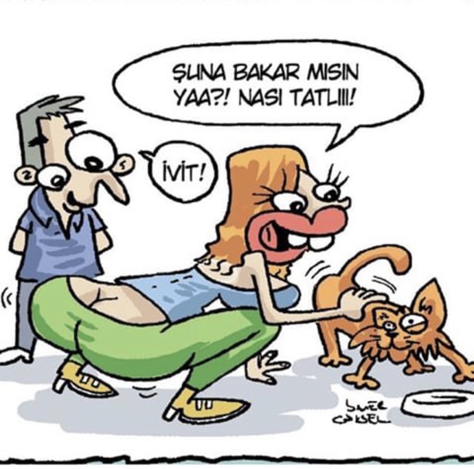 Kediler dünyanın en tatlı hayvanları olabilir mi?