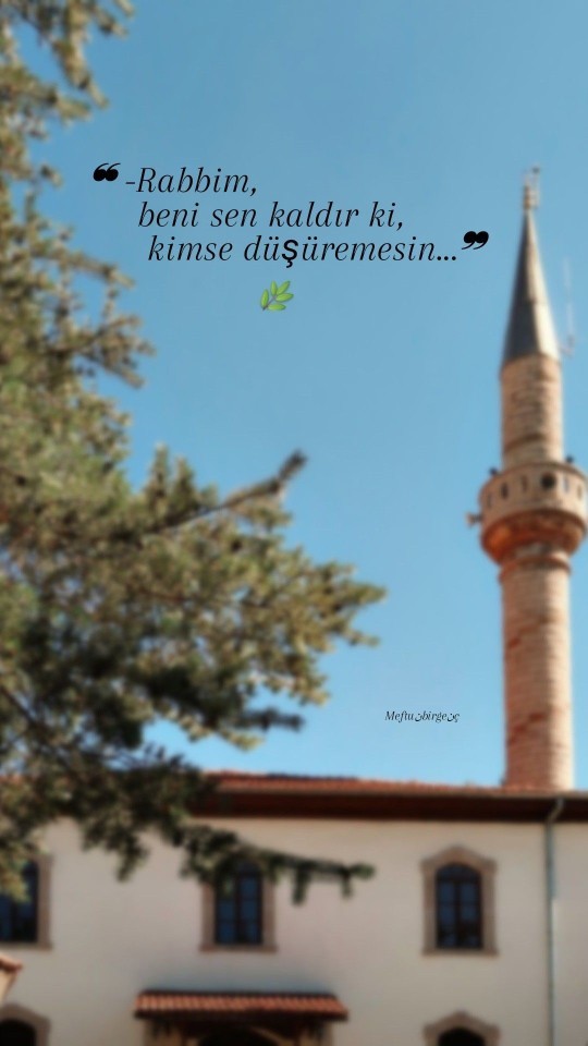 Basit bi soru islamın şartı kaçtır?
