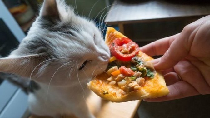 Bir oturuşta kaç dilim pizza yersiniz?
