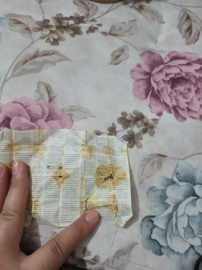 Evde muska bulduk ne olduğunu çözebilecek olan var mı?