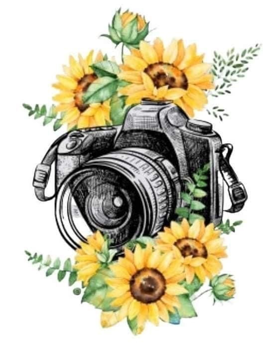 Fotoğraf çekmek / çekinmek ??