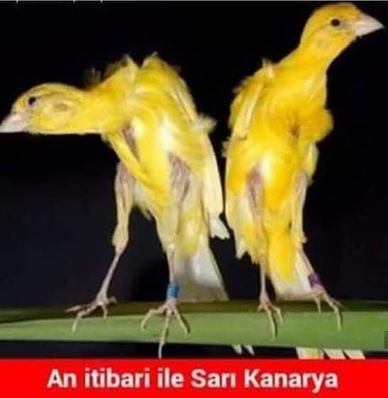 Bu Sezon 4 Buyuklerden Hangisi Daha Aktif Ve Akıllıca Transfer Yapıyor ?