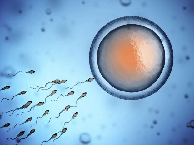 Sperm Bankasından Çocuğunuz Olsun İster Miydiniz?