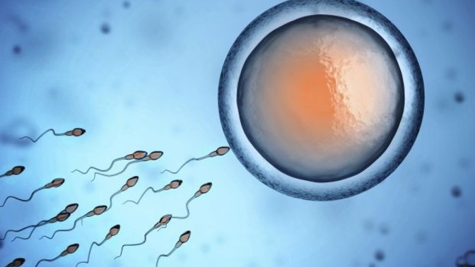 Sperm Bankasından Çocuğunuz Olsun İster Miydiniz?