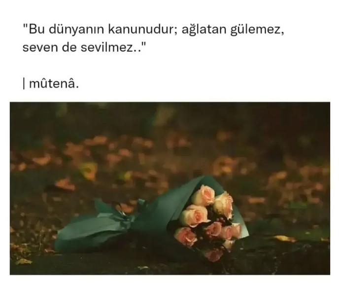 Seven , sevilmez mi sizcede?