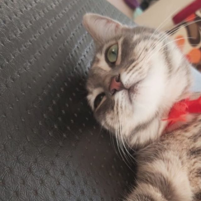 Ruh halim yine degismedi sizin ruh haliniz bugün nasil 😐?