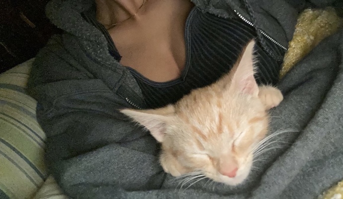 Bu minnoş için isim önerileriniz neler? 🦁