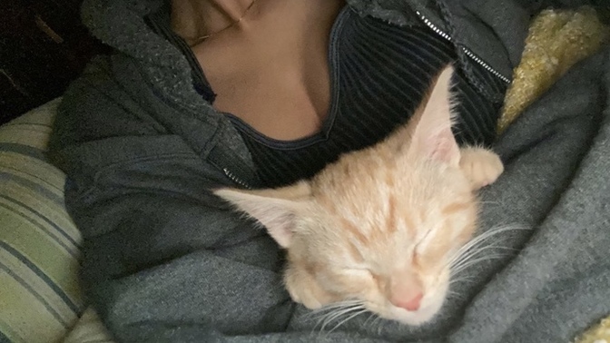 Bu minnoş için isim önerileriniz neler? 🦁