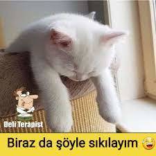 Offf sizin oflama nedenleriniz ne?