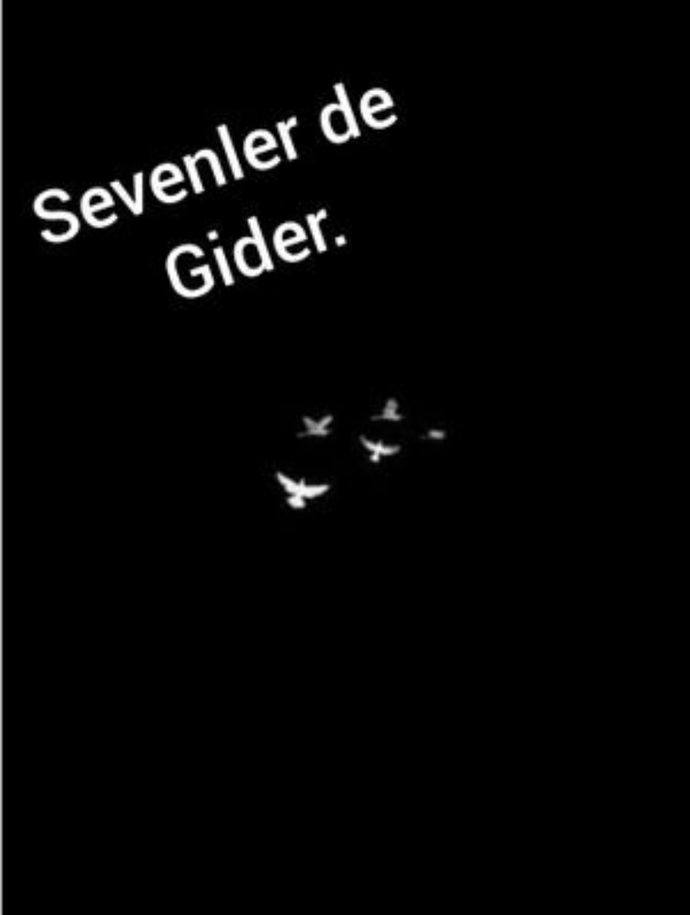 Her seven bir gün çekip gider mi?