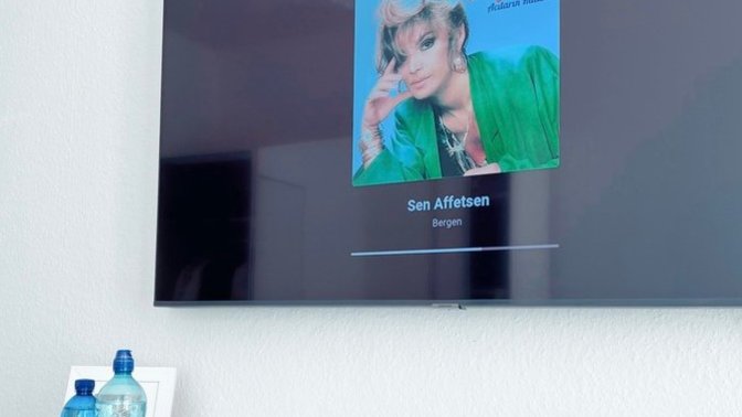 En sevdiginiz arabesk sarkisi hangisi?