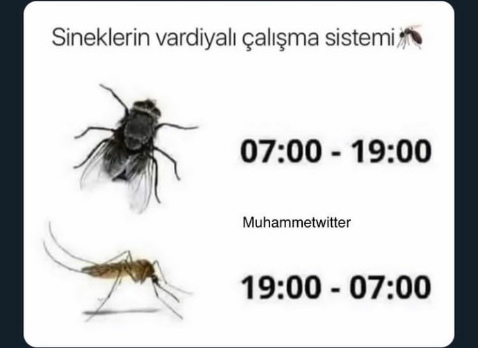 Türkiyede çalışma şartları ağır mı sizce?