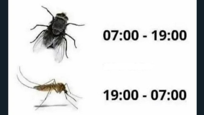 Türkiye'de çalışma şartları ağır mı sizce?