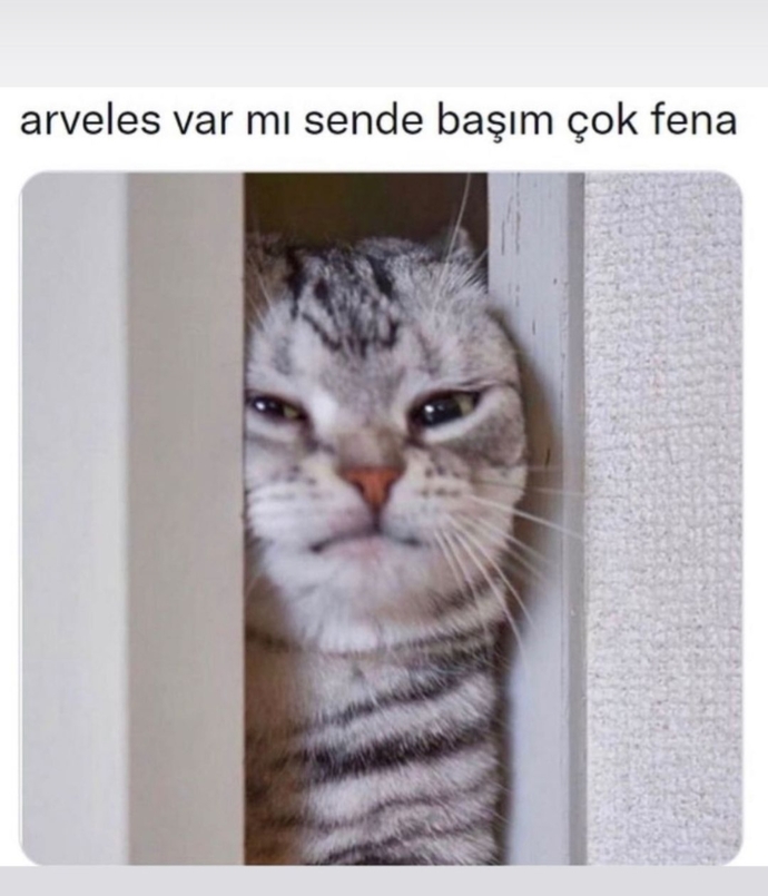 Bu nasıl bir sıcak ya😒