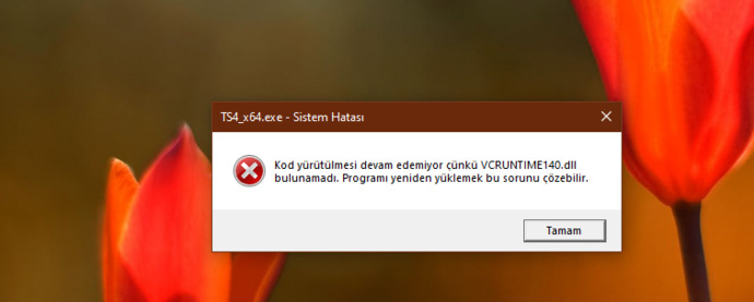 Sims 4 indirirken hata alıyorum, ne yapmalıyım?