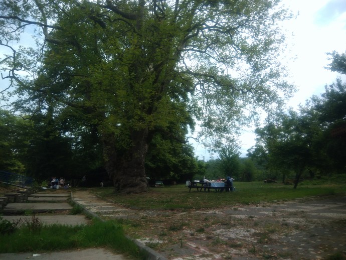 Özel bir piknik ve kamp alanı önerisine ne dersin?