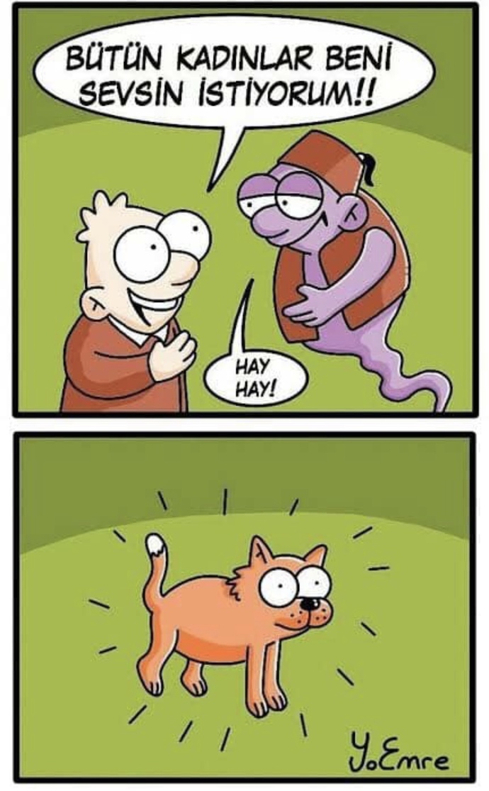 Bir hayvan olsaydınız ne olurdunuz diyiim miiğğ?