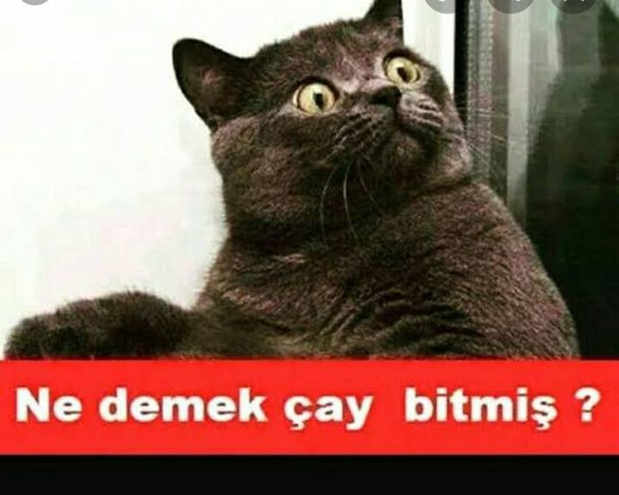 Günaydın, sabah kahveleri içildi mi?