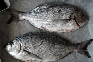 En sevdiğiniz balık çeşidi nedir? hangi yemeğini seviyorsunuz?
