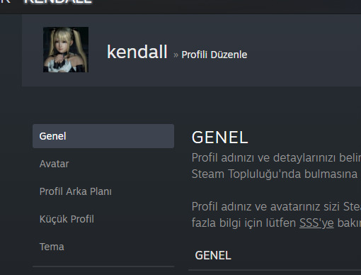 Steam küçük profil arka planı nasıl değiştiriliyor ya da nereden yapılıyor?