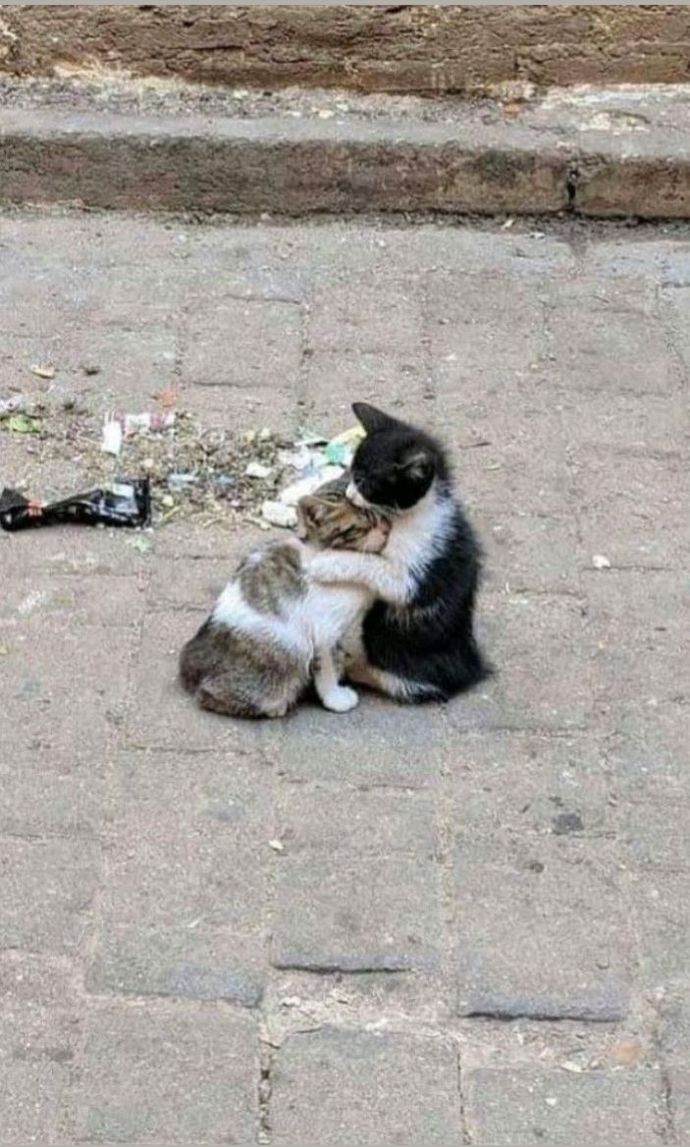 Birde sarılmaları yok mu 😍