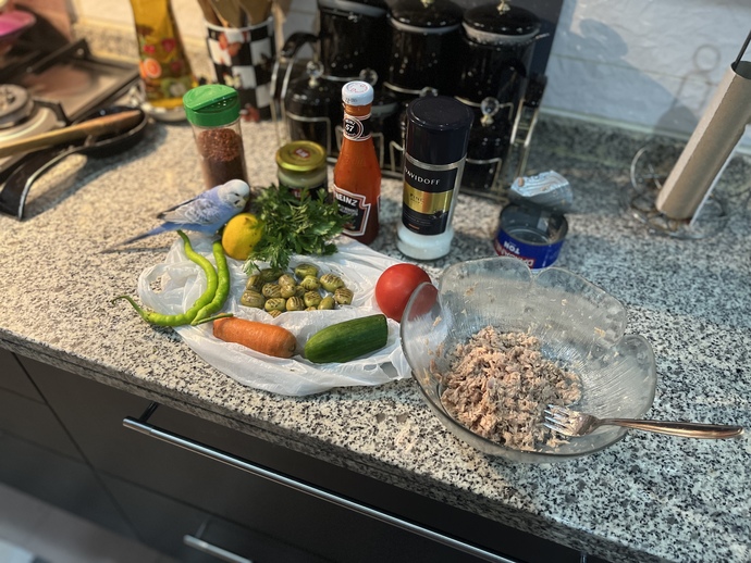 Ton balıklı salata sever misiniz?