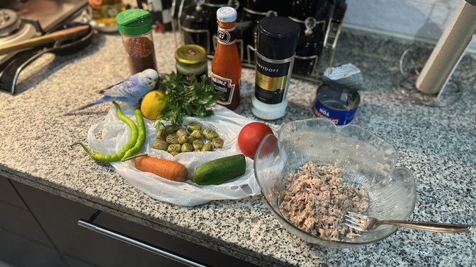 Ton balıklı salata sever misiniz?