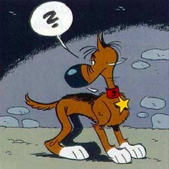 Kendi içimde yarattığım erkekler köpektir imajını silemiyorum sizce neden?