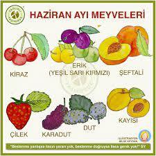 En sevdiğiniz yaz yiyeceği nedir?