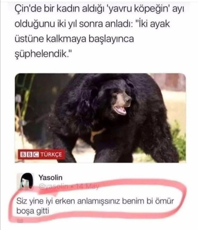 Evliliğinden şikayetçi olup ama yinede buna katlanan kişiler neden bitirmek yerine devam eder ?