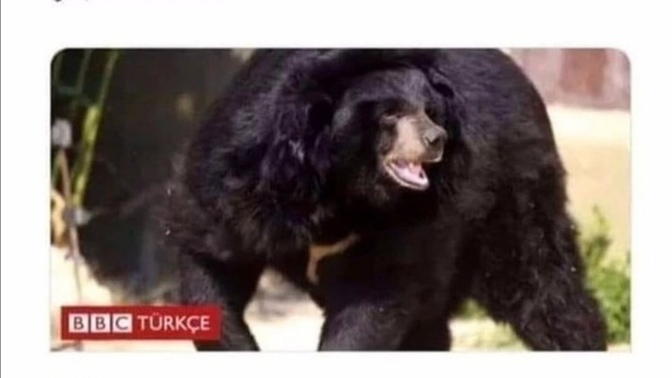 Evliliğinden şikayetçi olup ama yinede buna katlanan kişiler neden bitirmek yerine devam eder ?