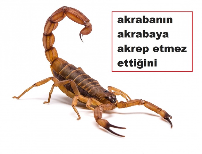 Akrabalarını seven var mı ya?