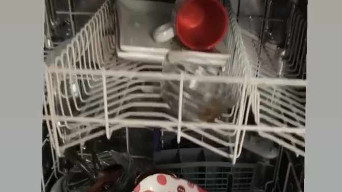 Erkek kardeşiniz ev işlerine yardım ediyor mu?