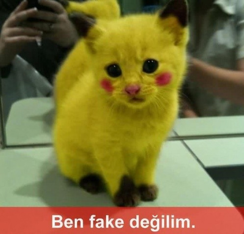 Sosyal medyada bir fake hesabınız var mı?