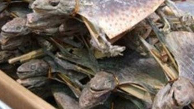 Arkadaşlar aranızda ülker çikilettalı gofreti sevmeyen var mı?