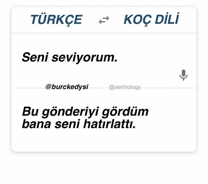 Sizin seni seviyorum diliniz hangisi 💜💙💜💙?