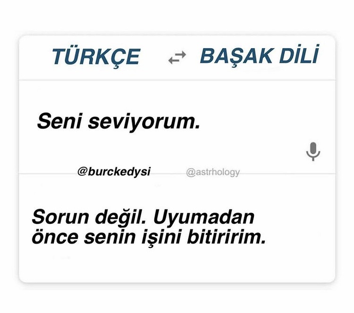 Sizin seni seviyorum diliniz hangisi 💜💙💜💙?
