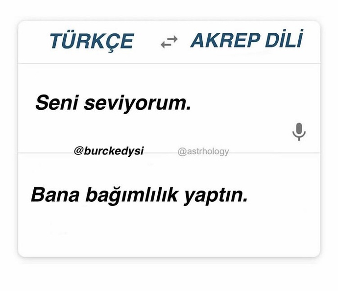 Sizin seni seviyorum diliniz hangisi 💜💙💜💙?