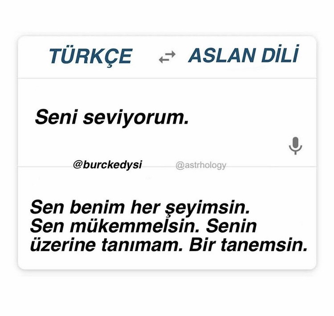 Sizin seni seviyorum diliniz hangisi 💜💙💜💙?