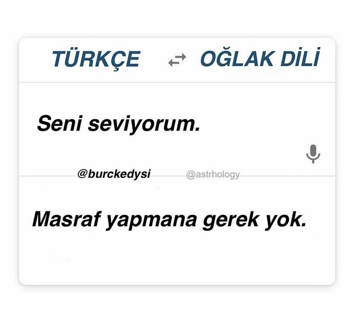 Sizin seni seviyorum diliniz hangisi 💜💙💜💙?
