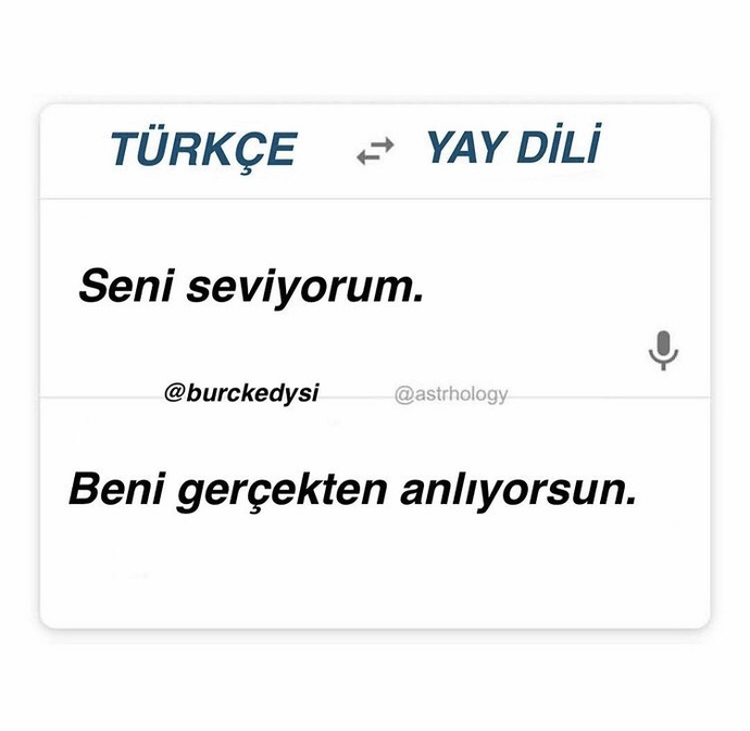Sizin seni seviyorum diliniz hangisi 💜💙💜💙?